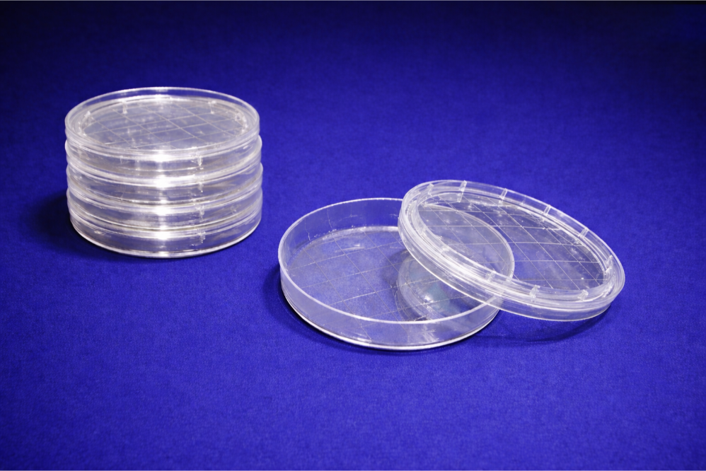 Petri Dish