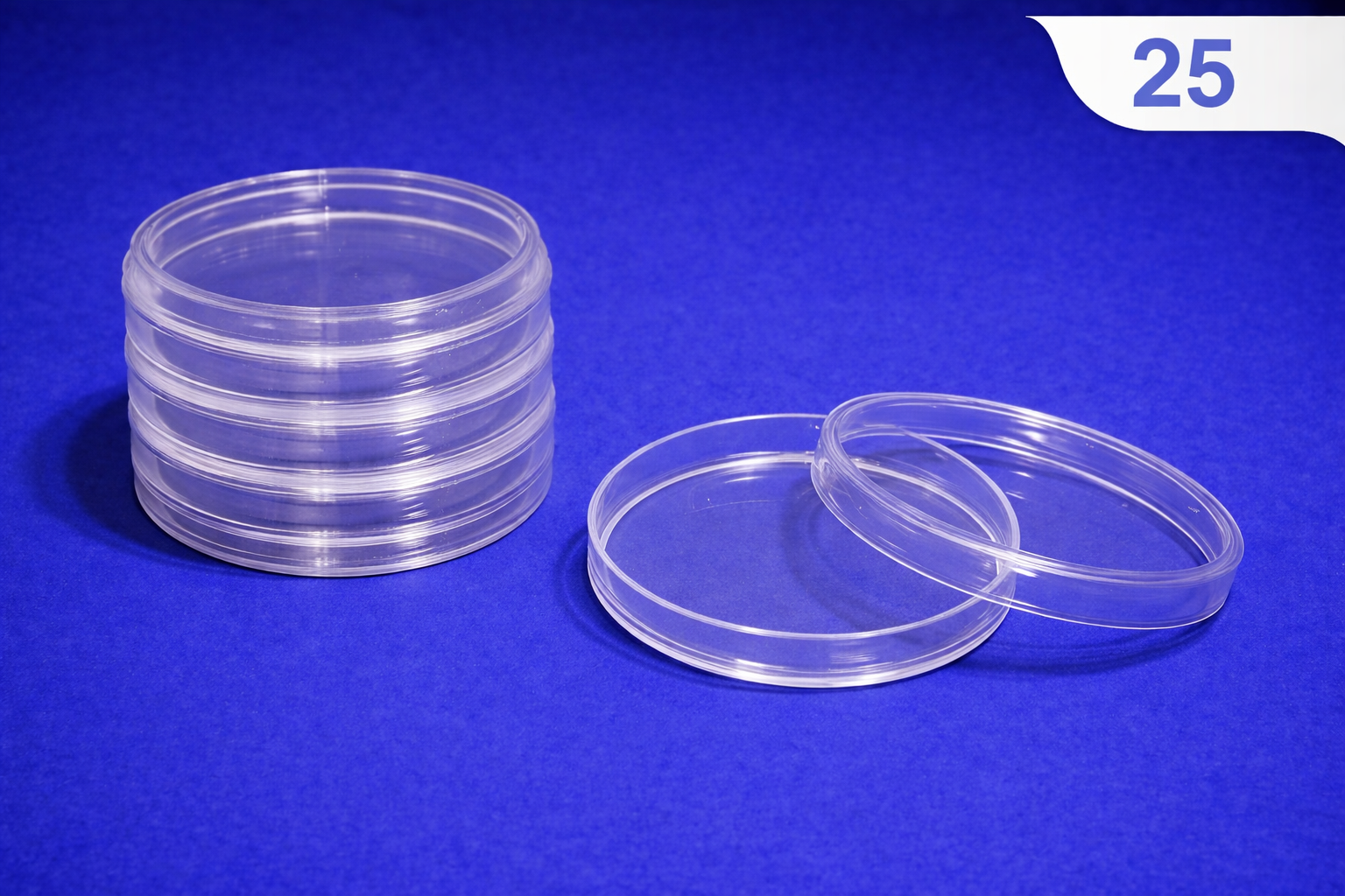 Big HIPS Petri Dish