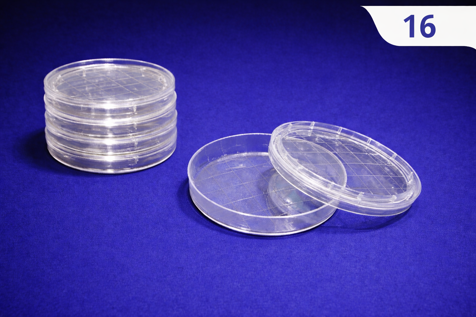 Small HIPS Petri Dish